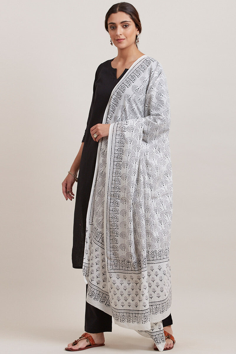 Roza Zara Black Kurta