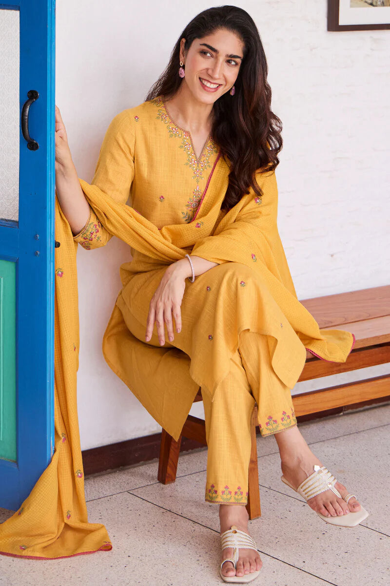 Surplus: Mehraab Shanaya Kurta